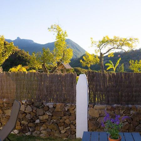 Finca El Huertezuelo El Bosque Luaran gambar