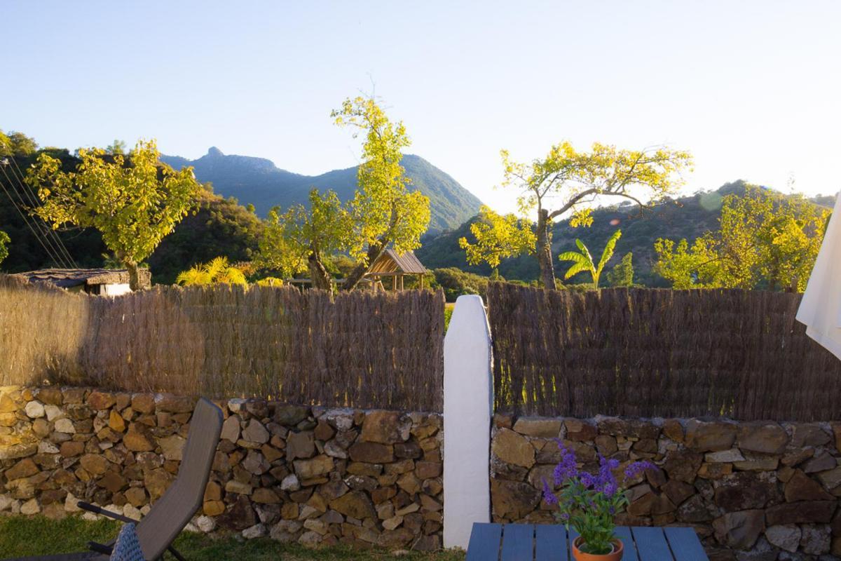 Finca El Huertezuelo El Bosque Luaran gambar