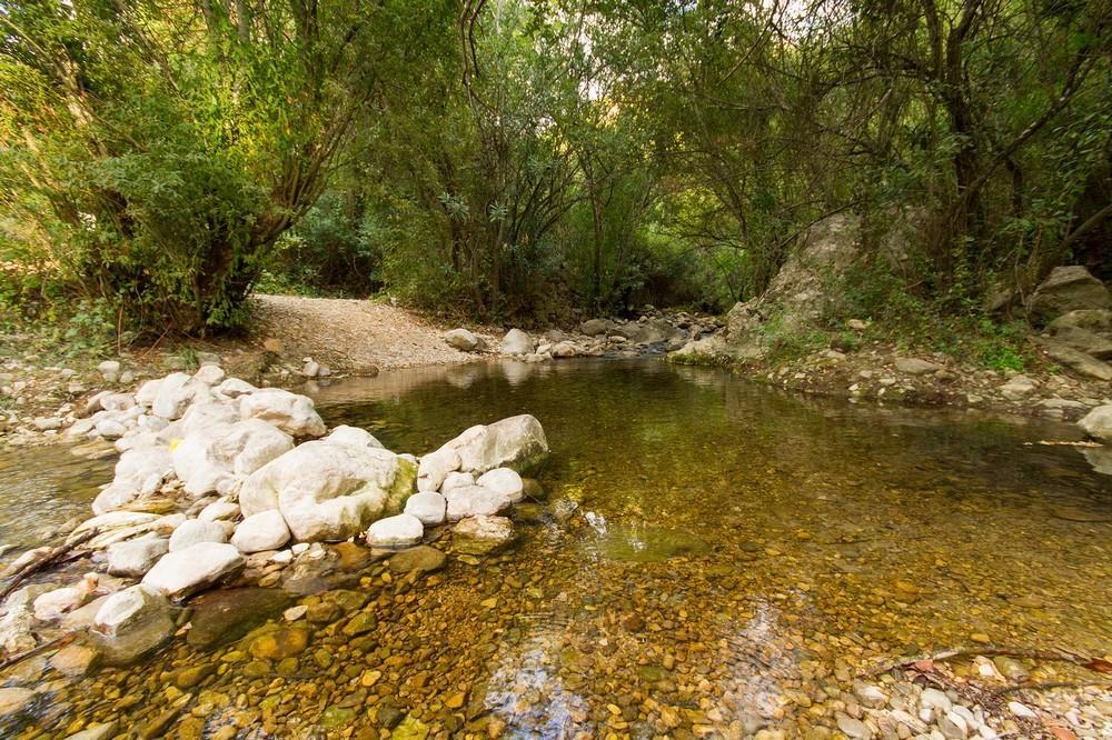Finca El Huertezuelo El Bosque Luaran gambar