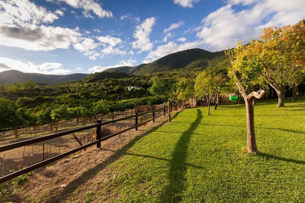 Finca El Huertezuelo El Bosque Luaran gambar