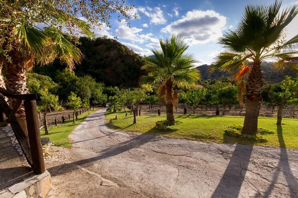 Finca El Huertezuelo El Bosque Luaran gambar