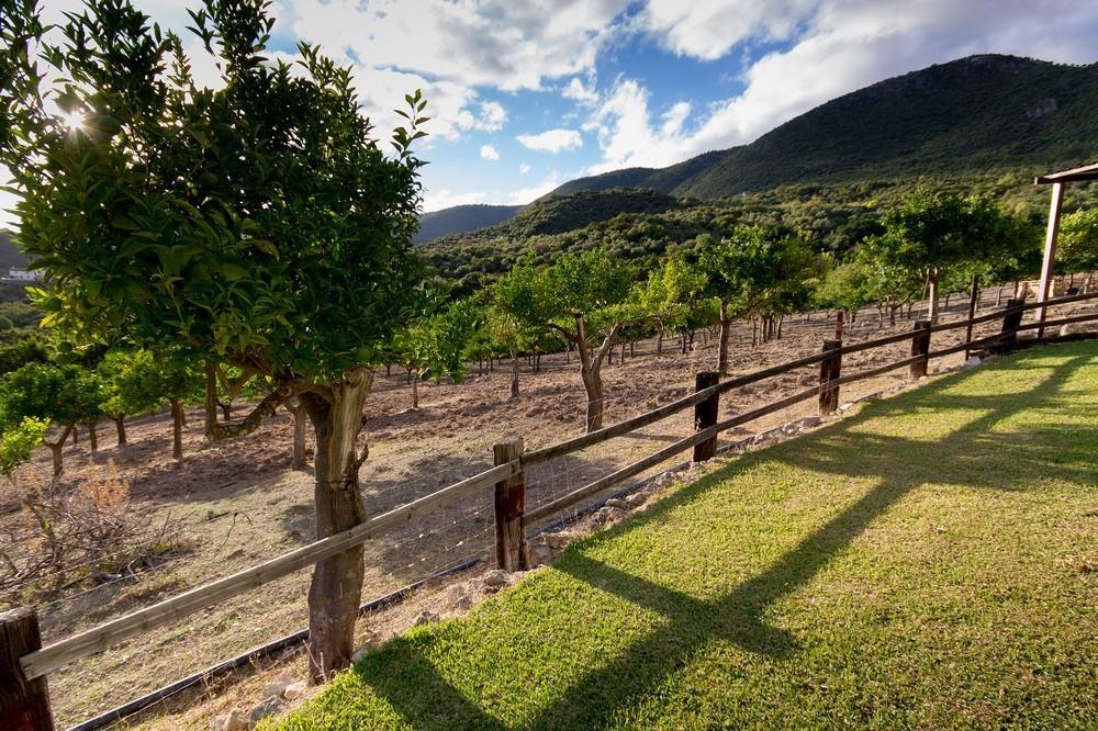 Finca El Huertezuelo El Bosque Luaran gambar