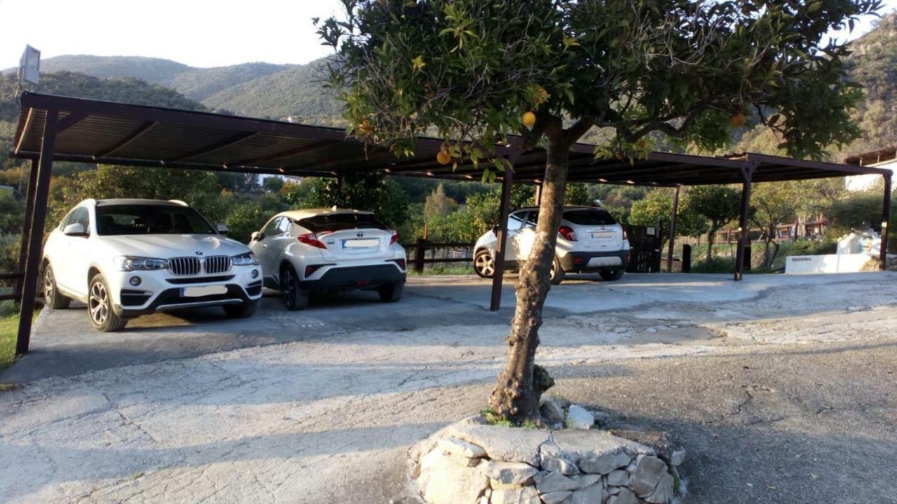 Finca El Huertezuelo El Bosque Luaran gambar